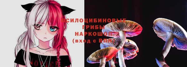 гашик Михайловка