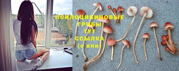 MDMA Надым