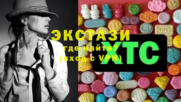 гидра Анжеро-Судженск
