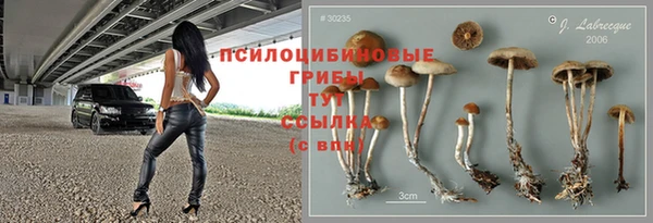 ECSTASY Апатиты