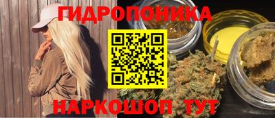спайс Гай
