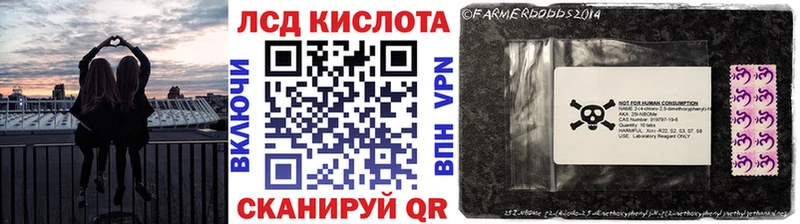Наркотические марки 1,5мг  где найти наркотики  Муравленко 