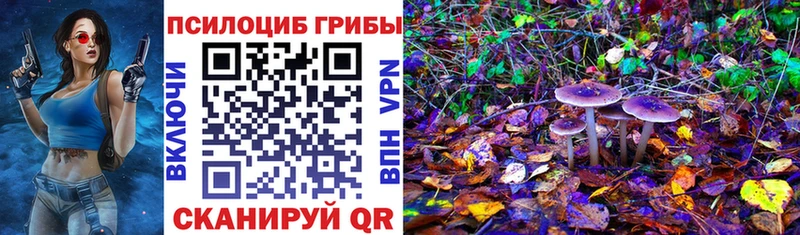 Галлюциногенные грибы MAGIC MUSHROOMS купить наркоту Муравленко