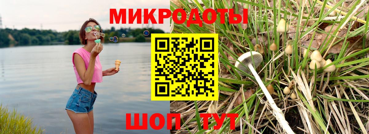 Галлюциногенные грибы Magic Shrooms  Галлюциногенные грибы Magic Shrooms  Муравленко  Вход с VPN 