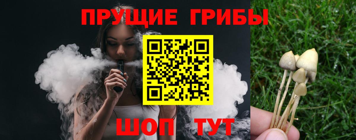 Псилоцибиновые грибы GOLDEN TEACHER Муравленко